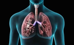 ЧТО ТАКОЕ НЕМЕЛКОКЛЕТОЧНЫЙ РАК ЛЕГКОГО (НМРЛ)?