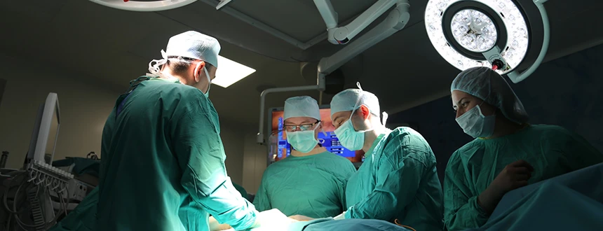 Лимфосаркома