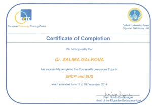 Дипломы и сертификаты Галкова Залина Викторовна - фото 12