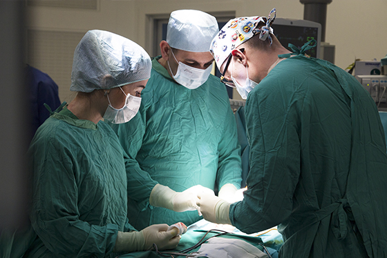 Клиника Хадасса - фото 12