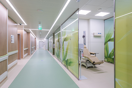 Клиника Хадасса - фото 14