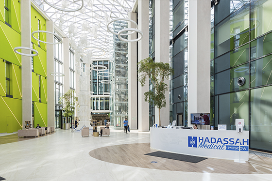 Клиника Хадасса - фото 1