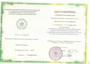 Дипломы и сертификаты МАЛИХОВА ОЛЬГА АЛЕКСАНДРОВНА - фото 13